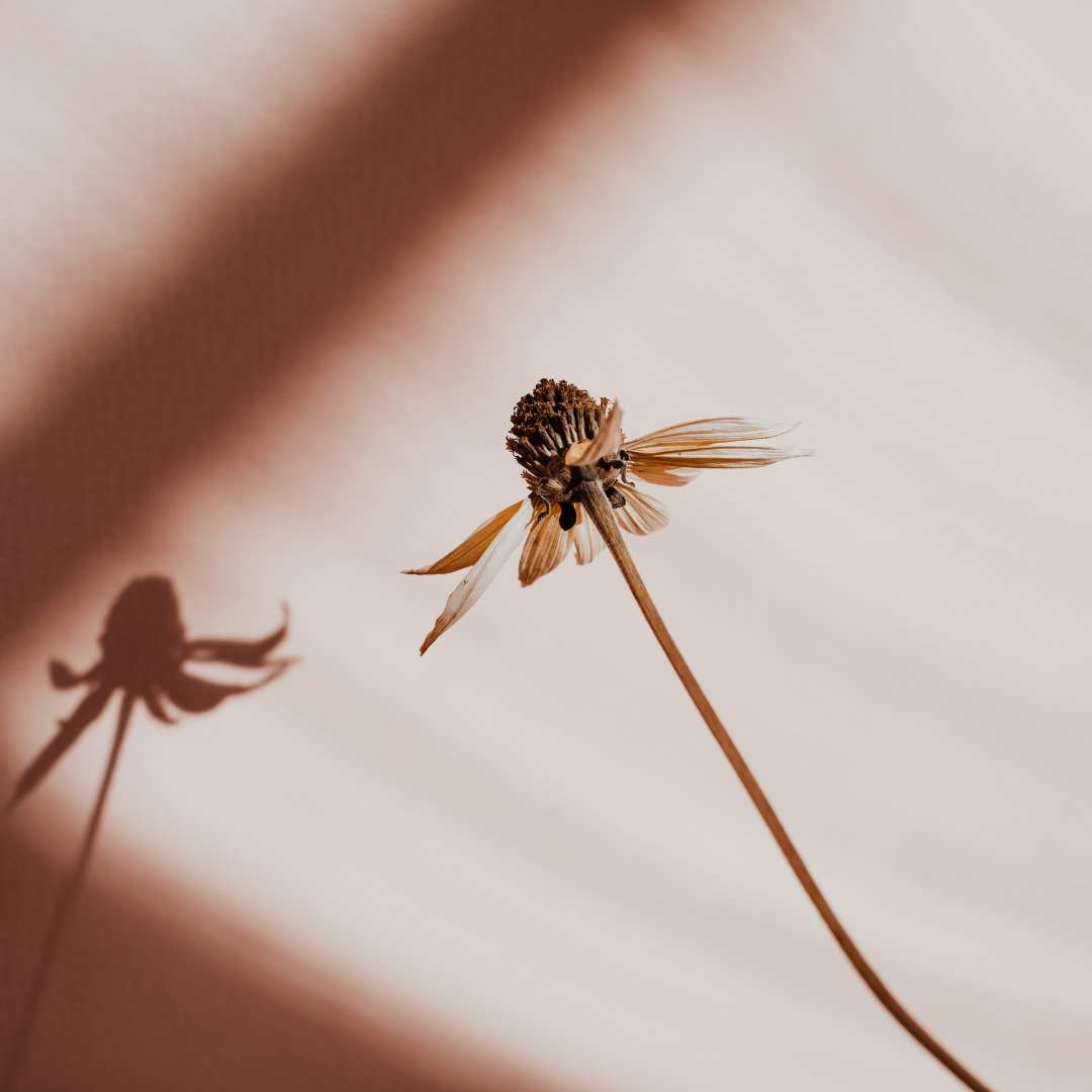 Understanding Subtle Energy + How The Energy Body Impacts Your Well Being