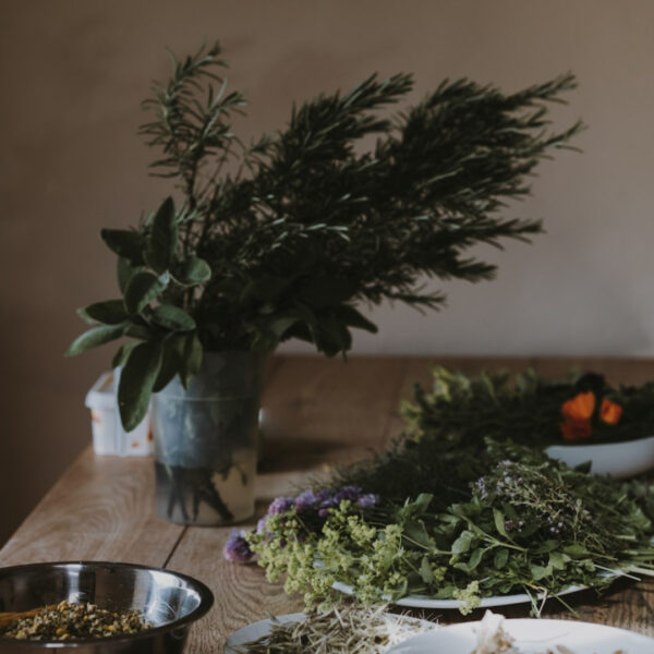Herbs for energy