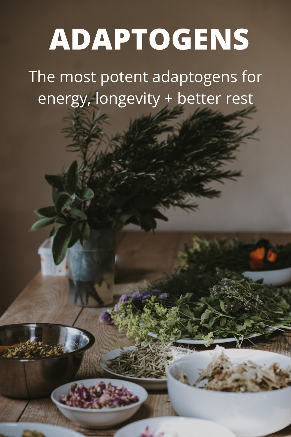 These are the most potent adaptogens: Herbs for energy, longevity and better rest. All are easy to find and integrate into your day to day.