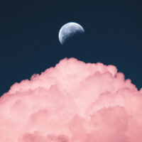 February Energy Report