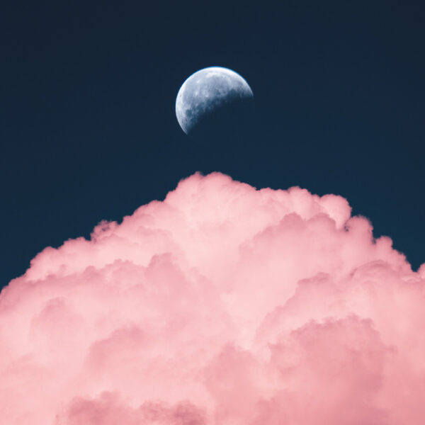 February Energy Report