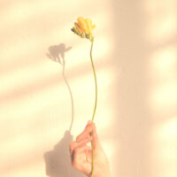 5 Spiritual Gifts of Trauma