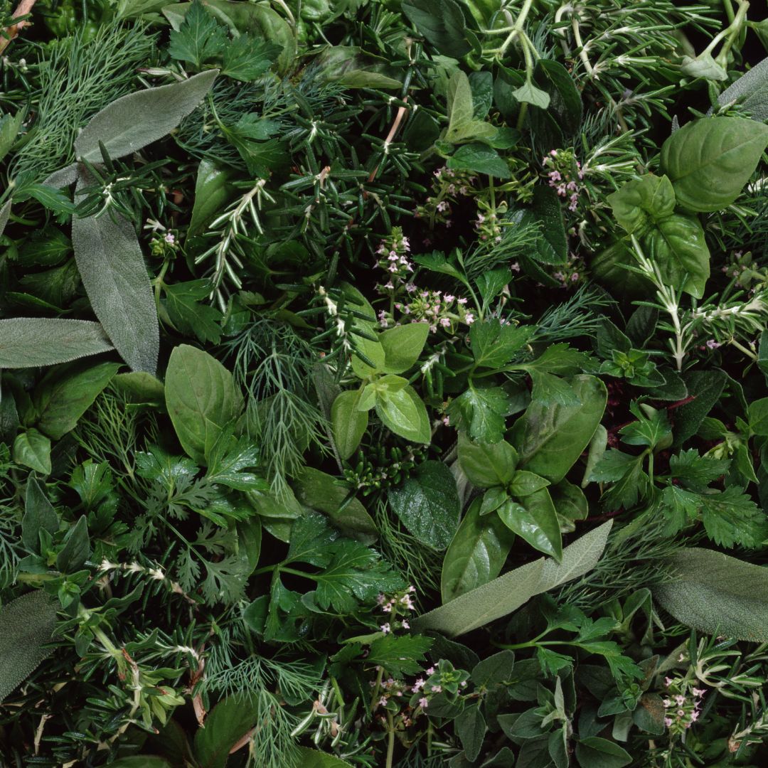 Herbal Antivirals