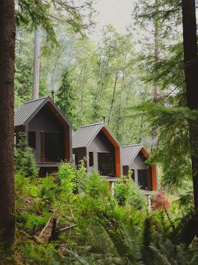 evolve bowen island retreat