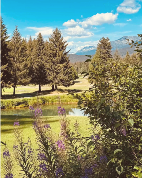 whistler live well summit