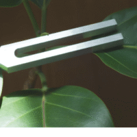 Biofield tuning