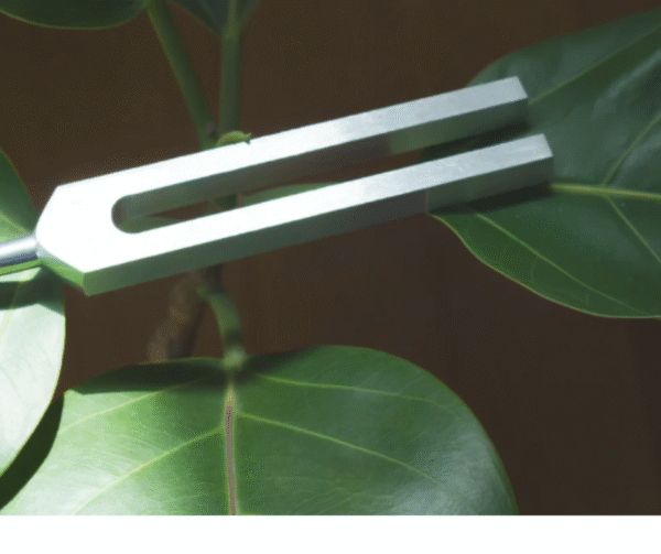 Biofield tuning