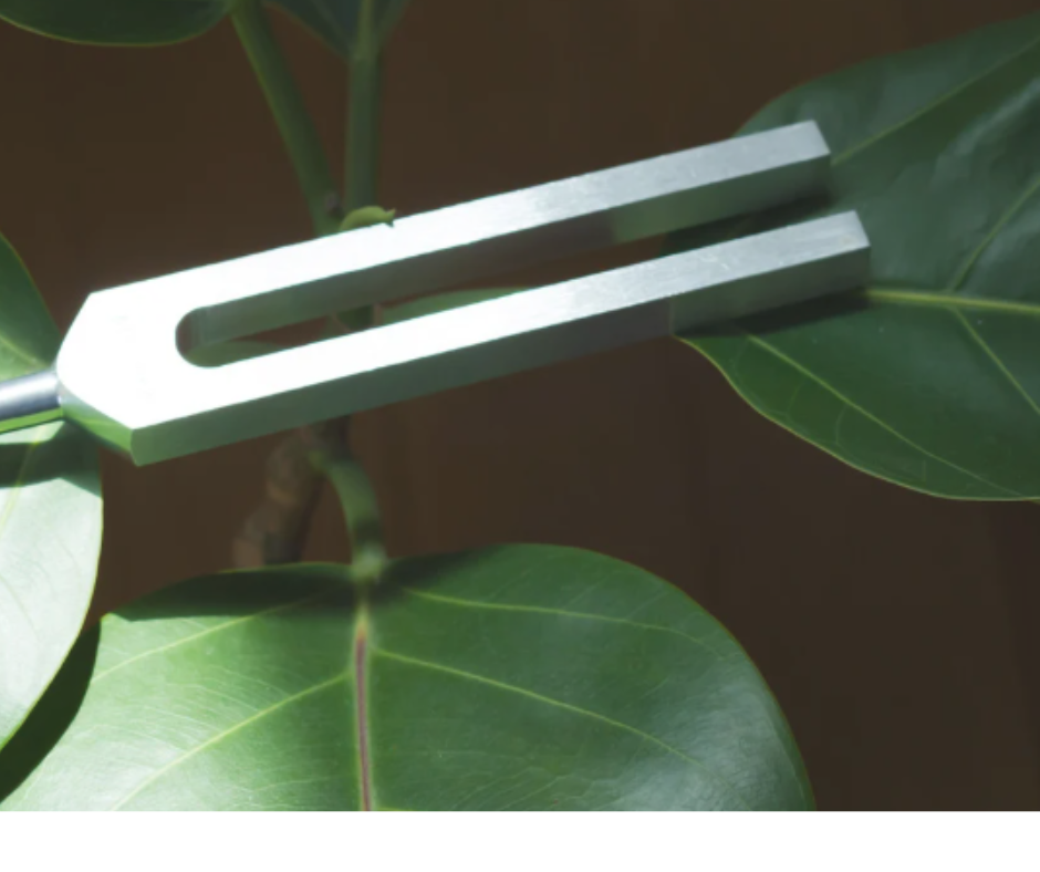 Biofield tuning